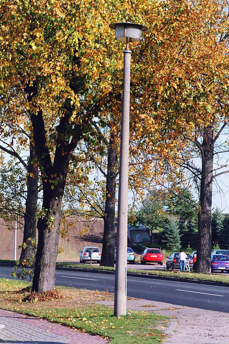 0656060 DE SA Seehausen