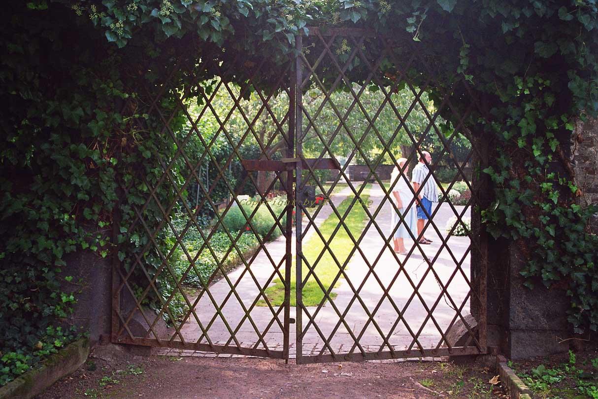 2145060 DE RP Koblenz