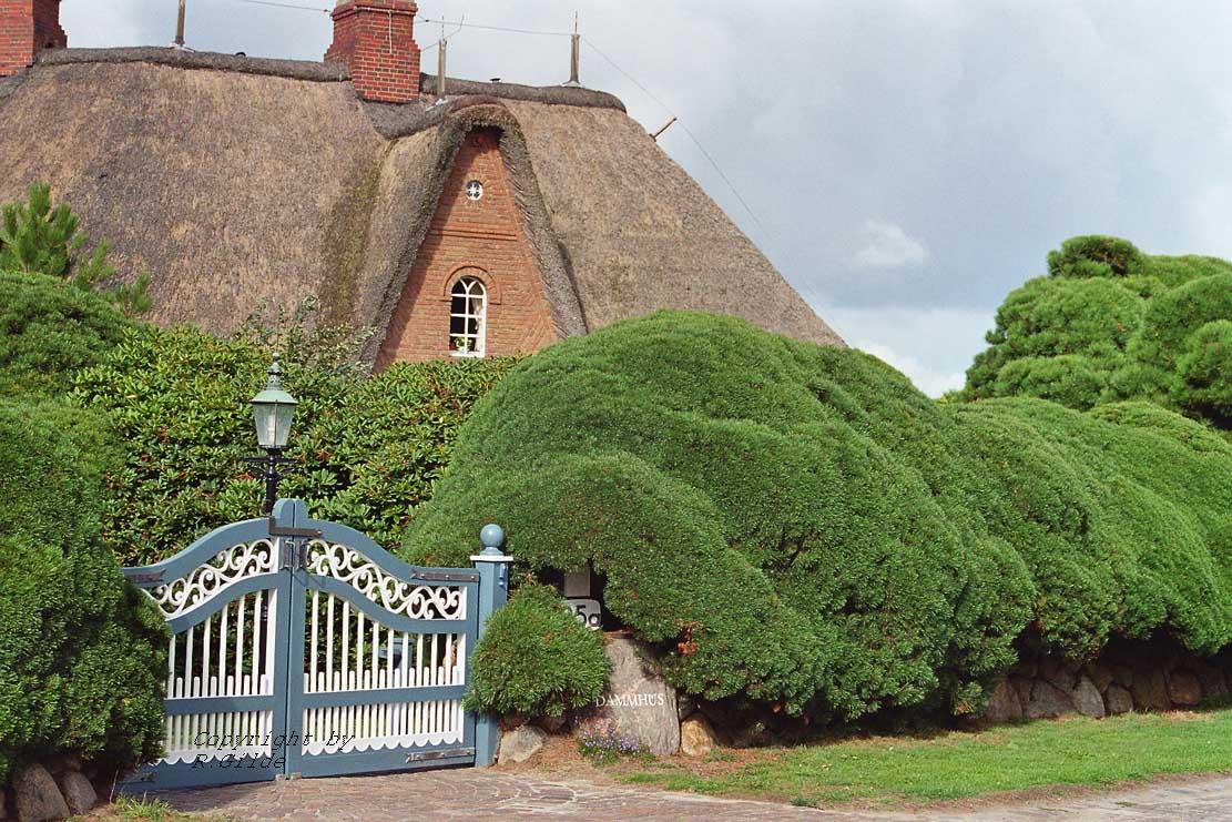 2805060 DE SH Sylt Kampen
